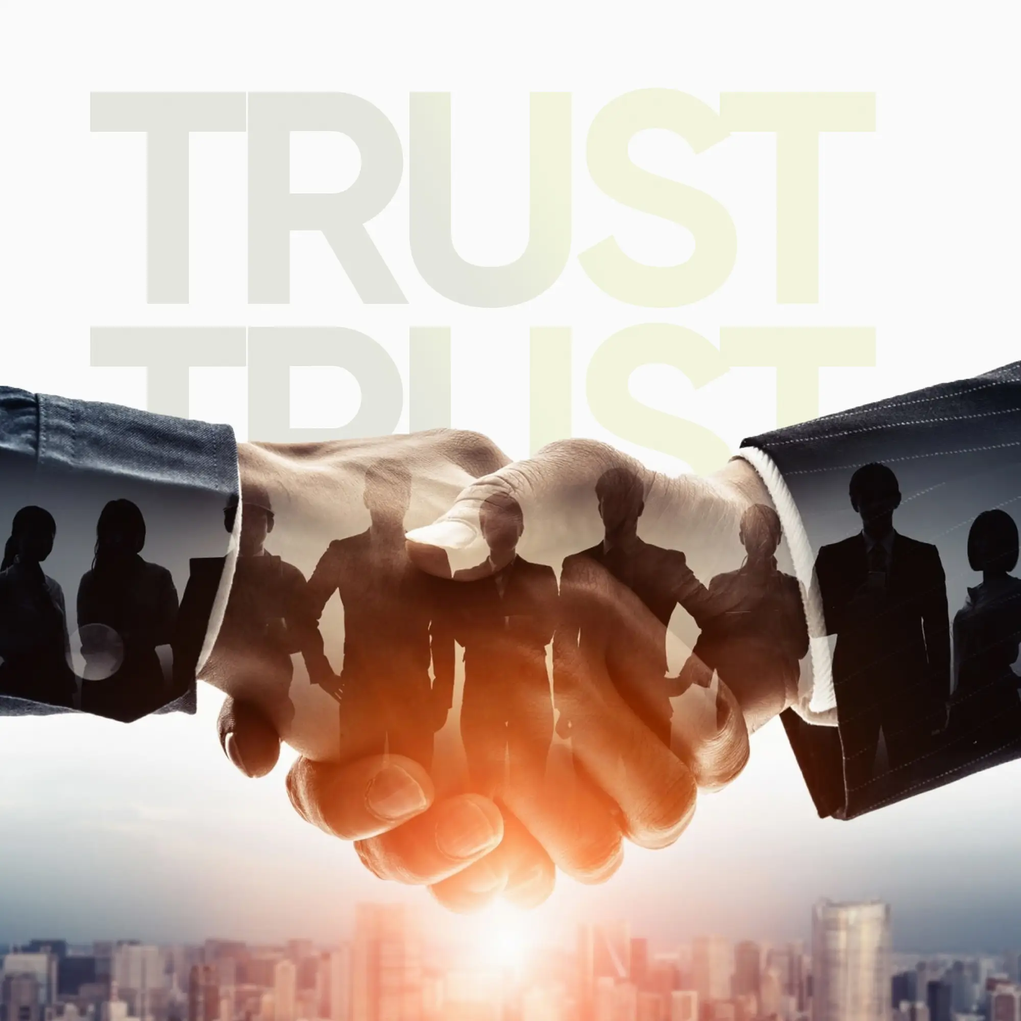 Build Trust IBV Website